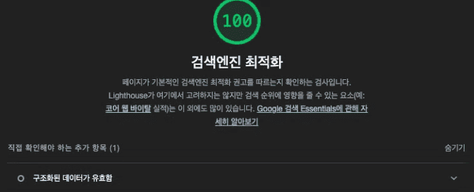 lighthouse 측정 결과 100점